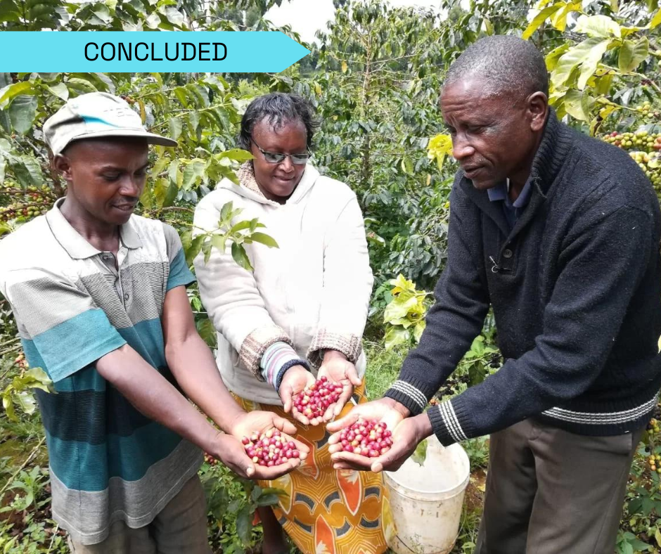 The project contributes to reducing the environmental impact in agribusiness, with regard to the mango, coffee and dairy sectors, while strengthening their ability to compete in the market.
